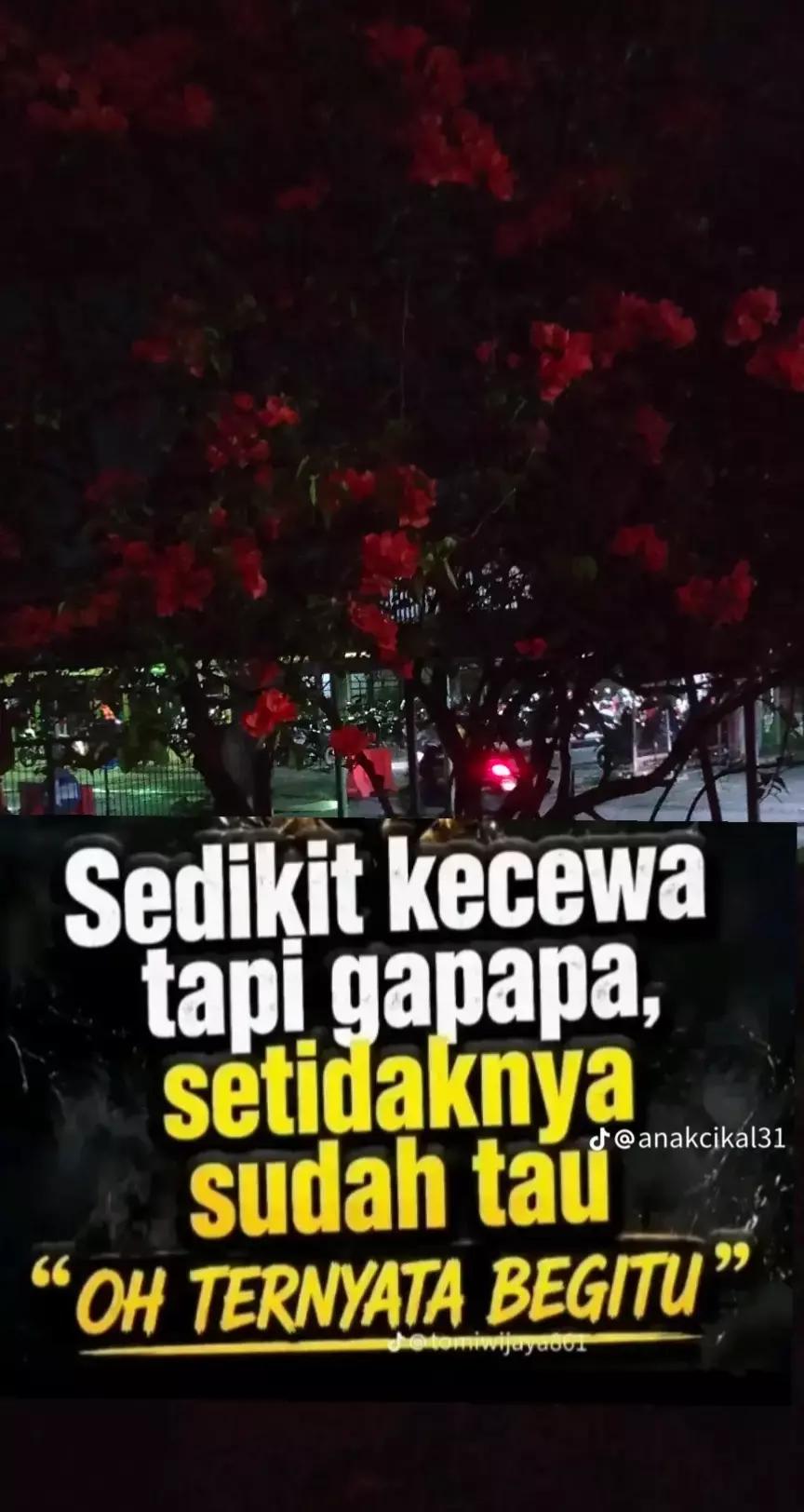@,,,HS,,,