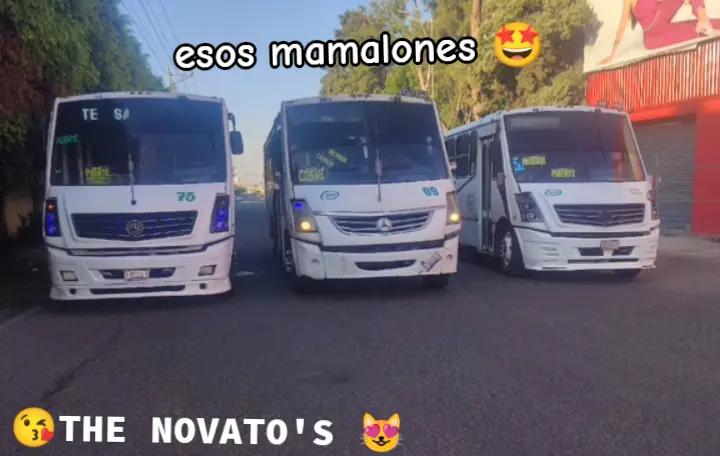 @😘THE NOVATO'S 😻