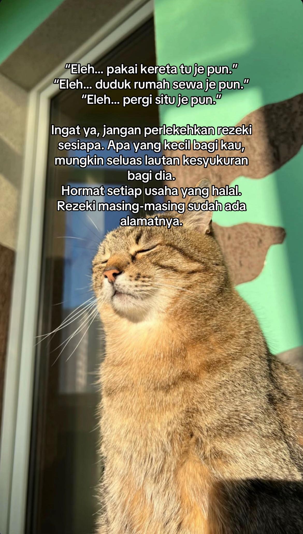 @ngeong prot prot
