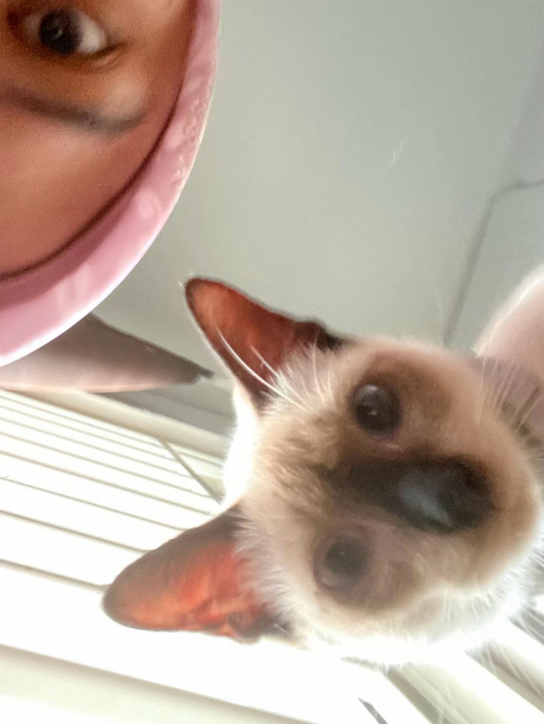 @mongjiii