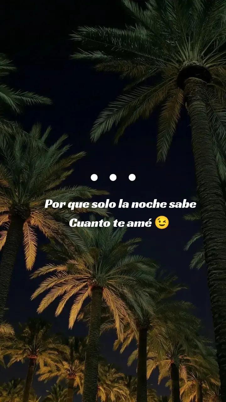 @todo.un poco