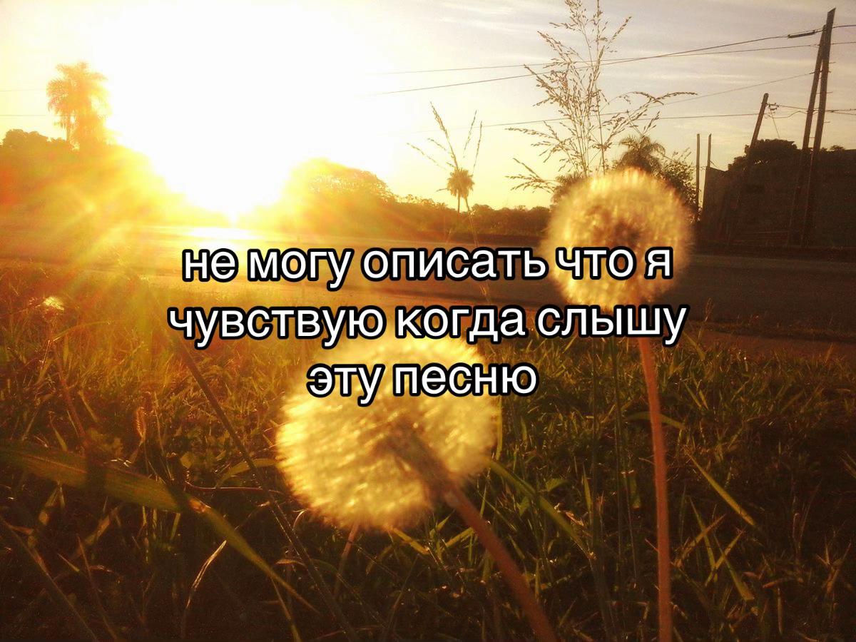 @🪽