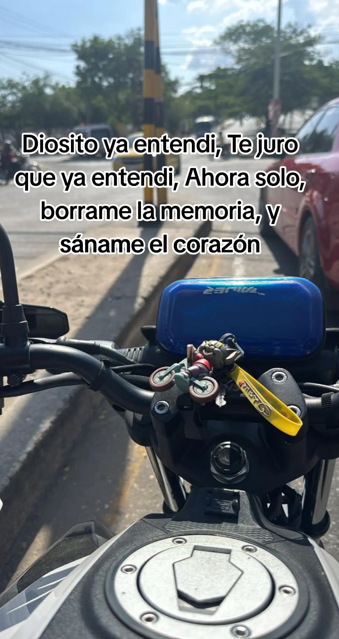 @Jose santos