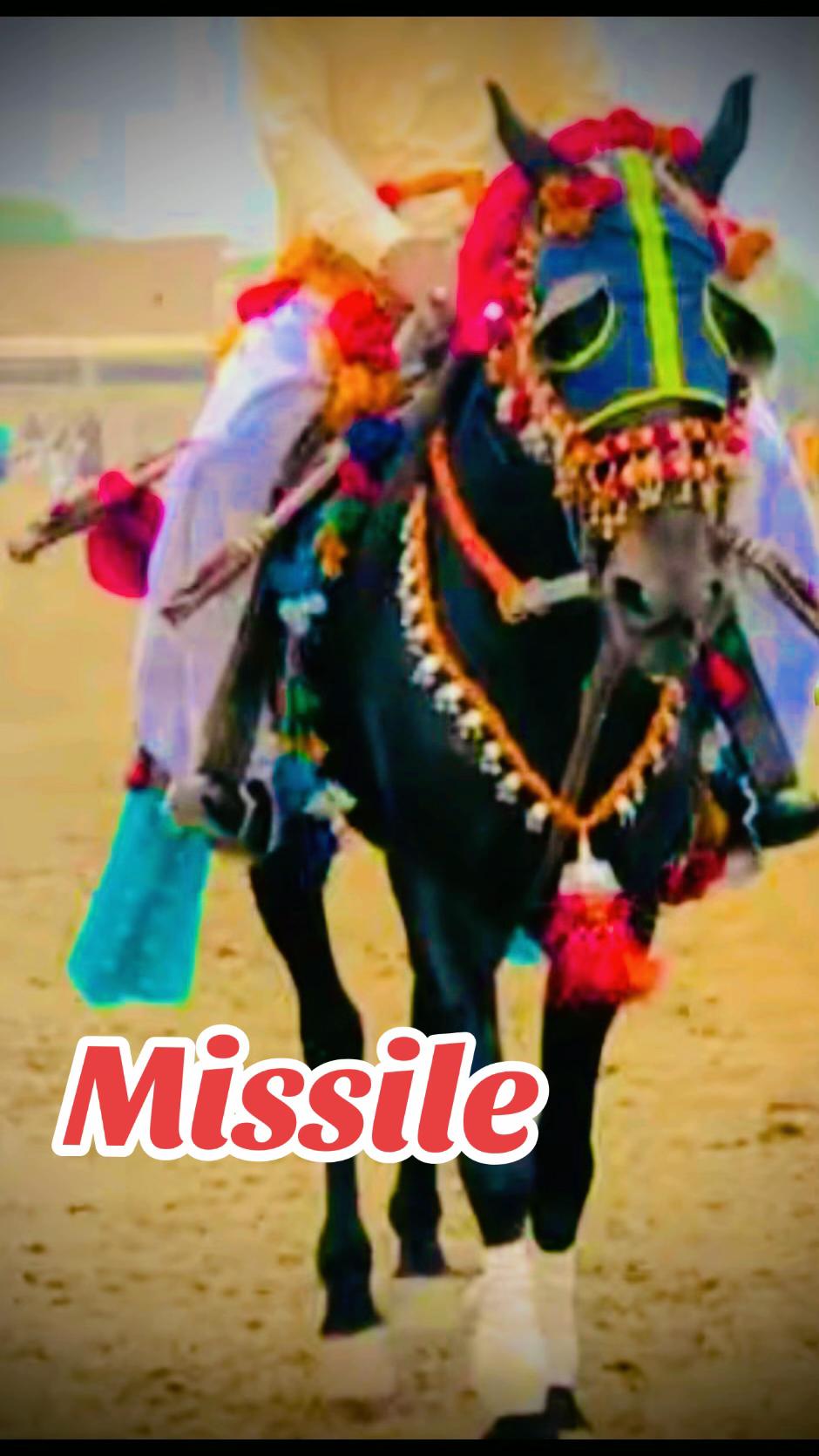 @Sardar Noor Ahmed Wassan