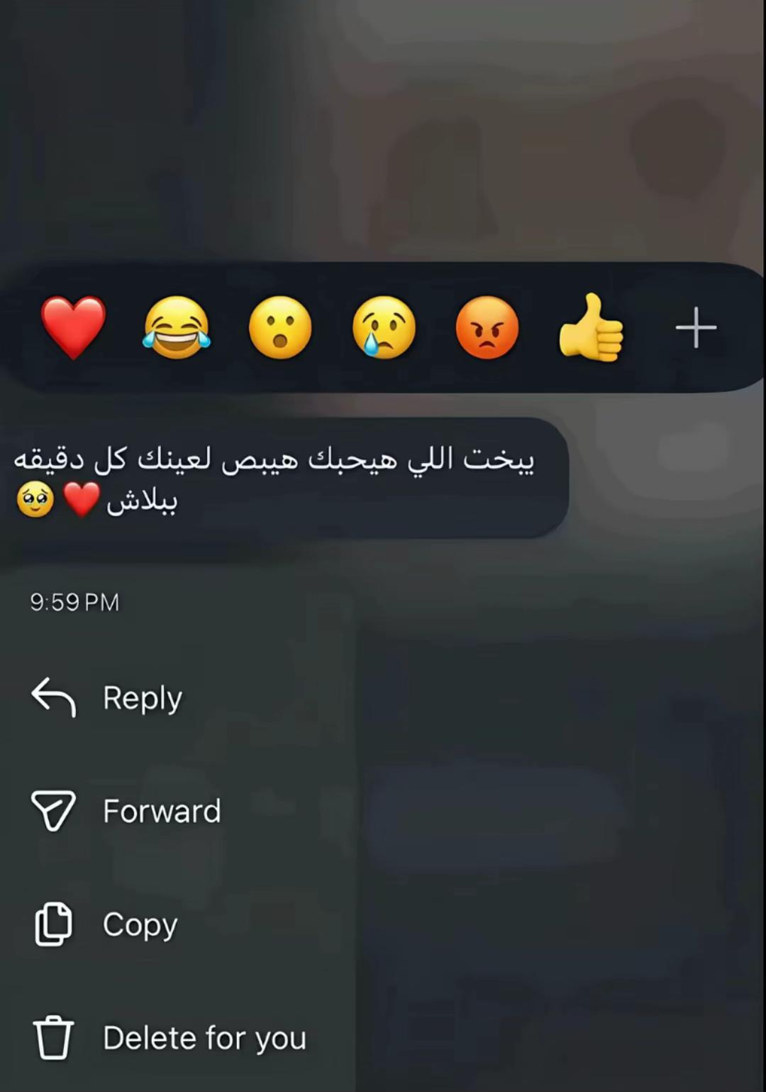 @Haya😍