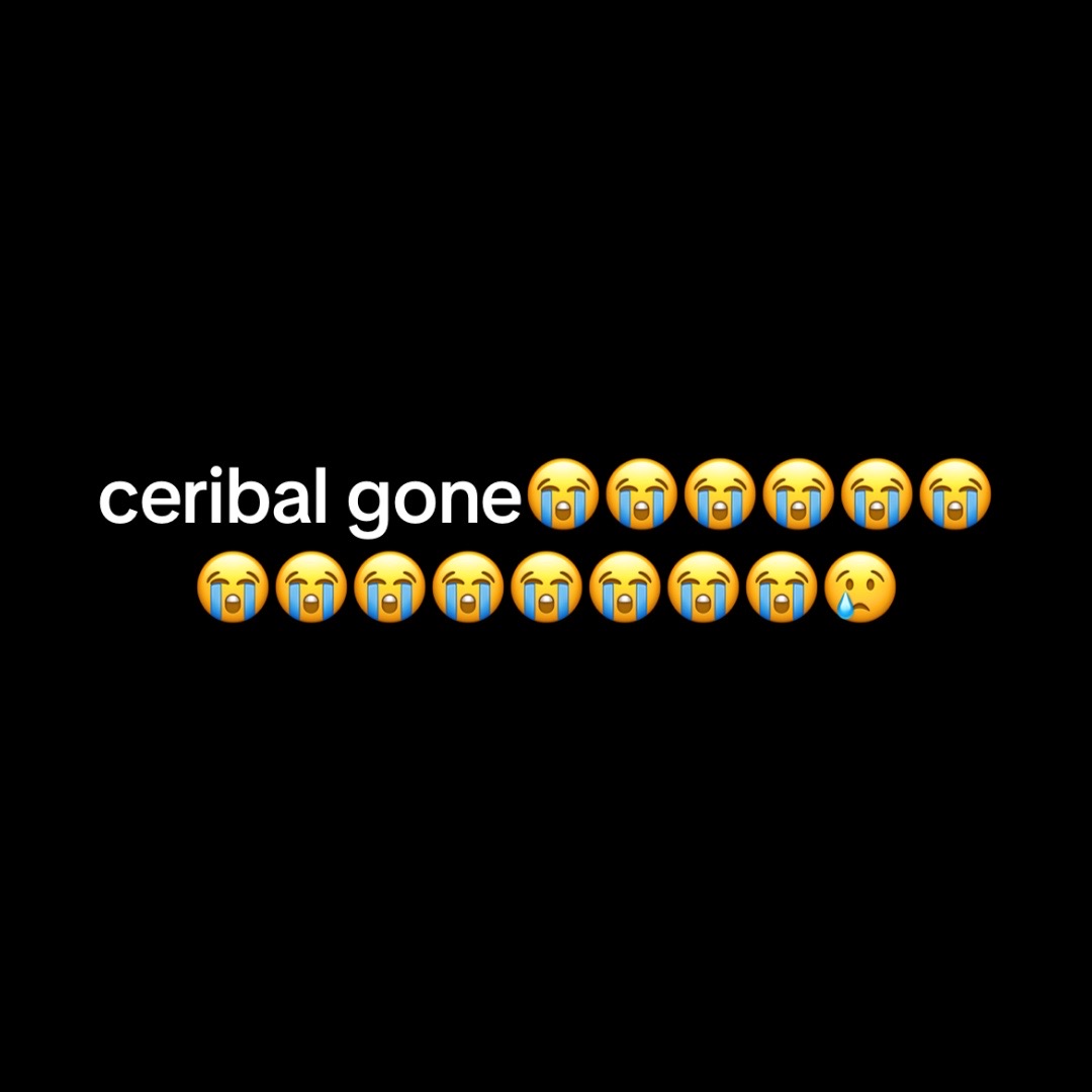 @𝙨𝙩𝙖𝙧𝙯𝙯 ✟