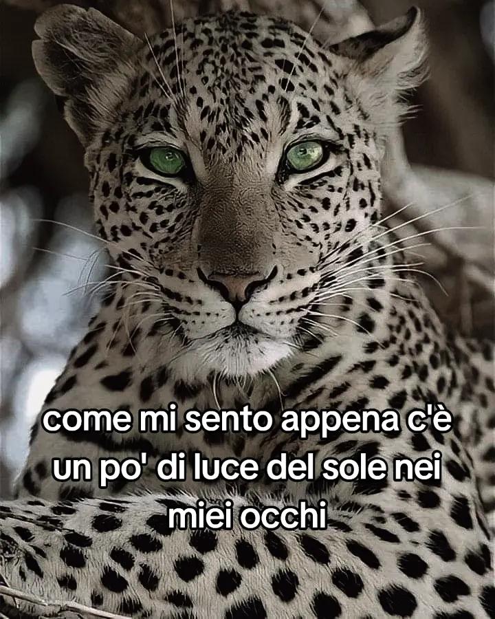 @Alessia