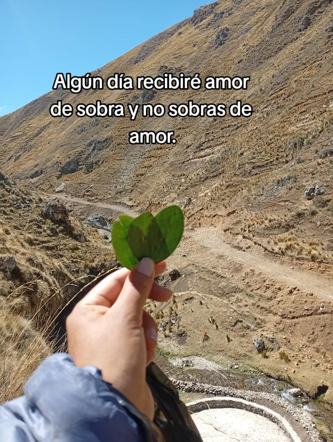 @Su