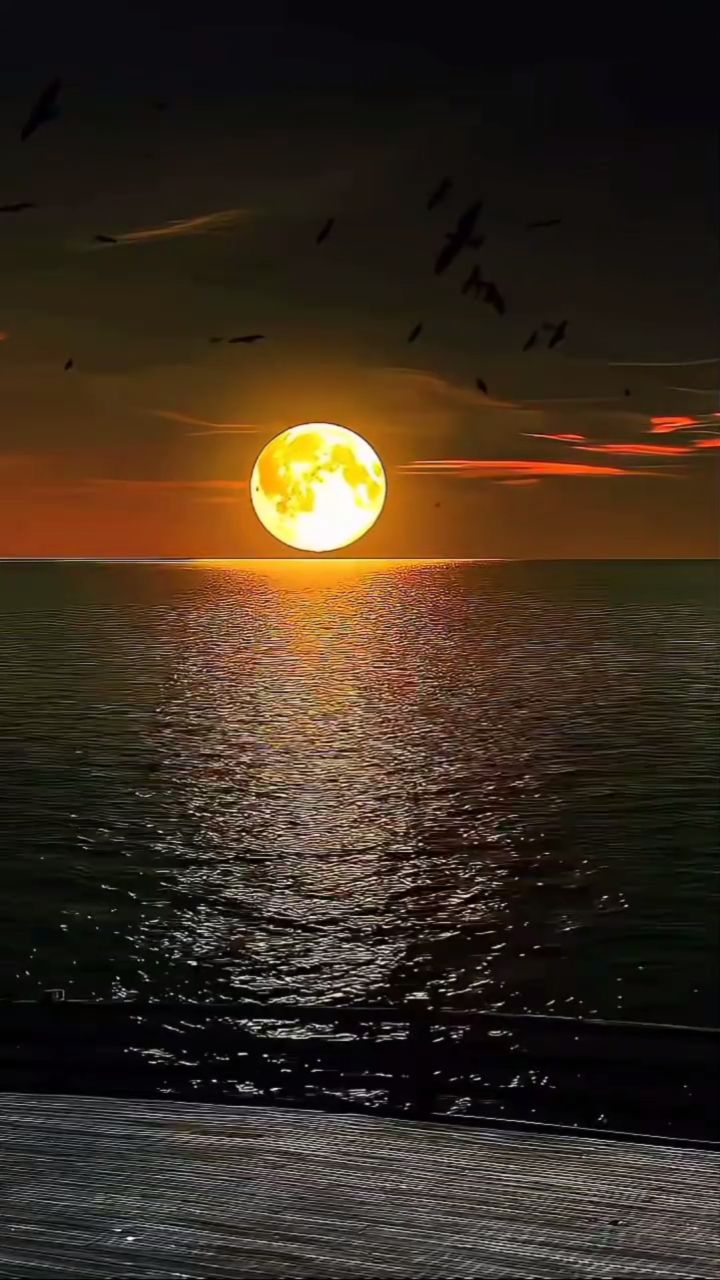 @𝒏𝒊𝒉𝒂𝒅✌