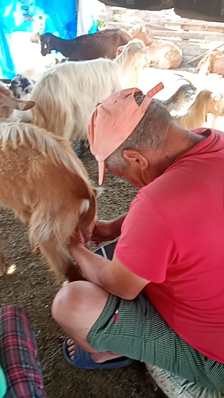 @Daniela și Gheorghiță
