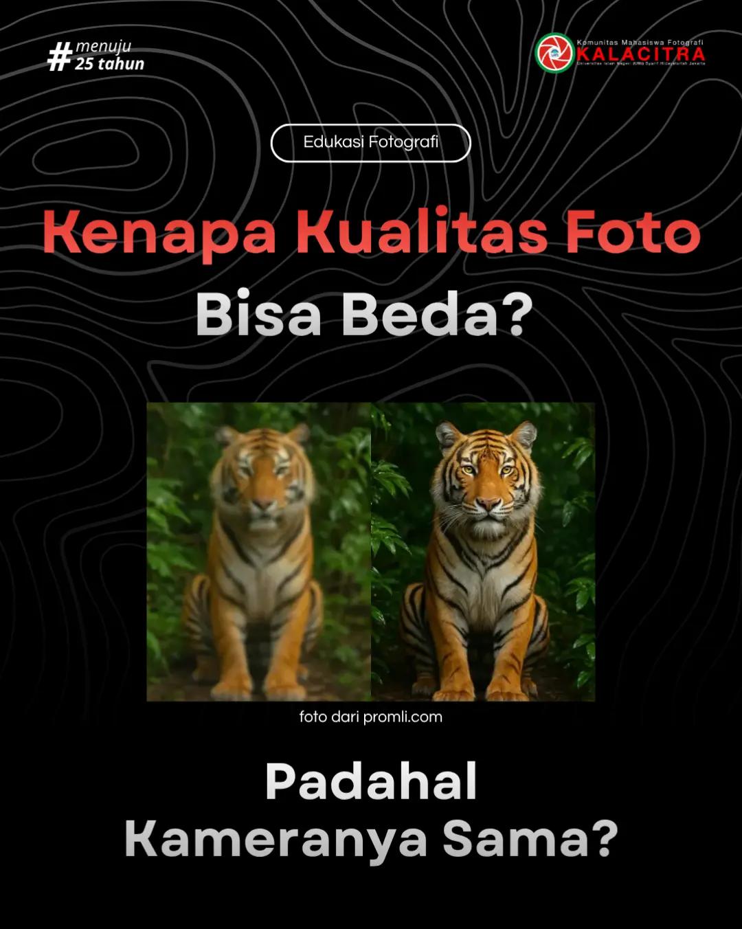 @KMF Kalacitra