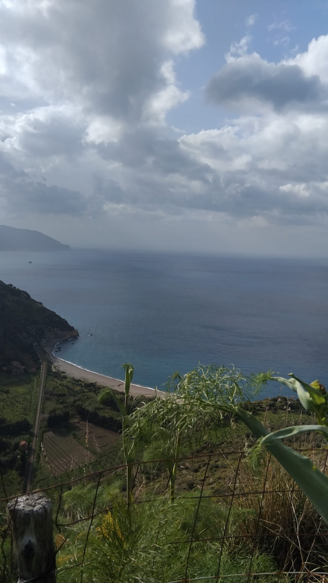 @Tonino Barresi