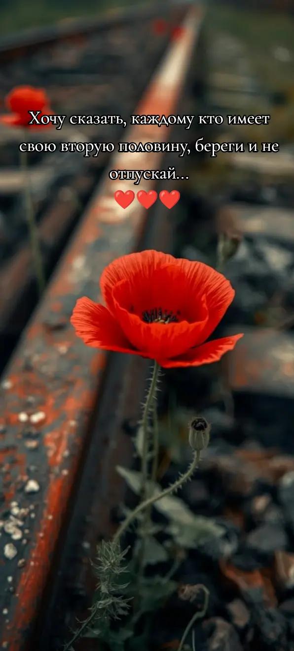 @❤️СеРдЦеЕдКа❤️