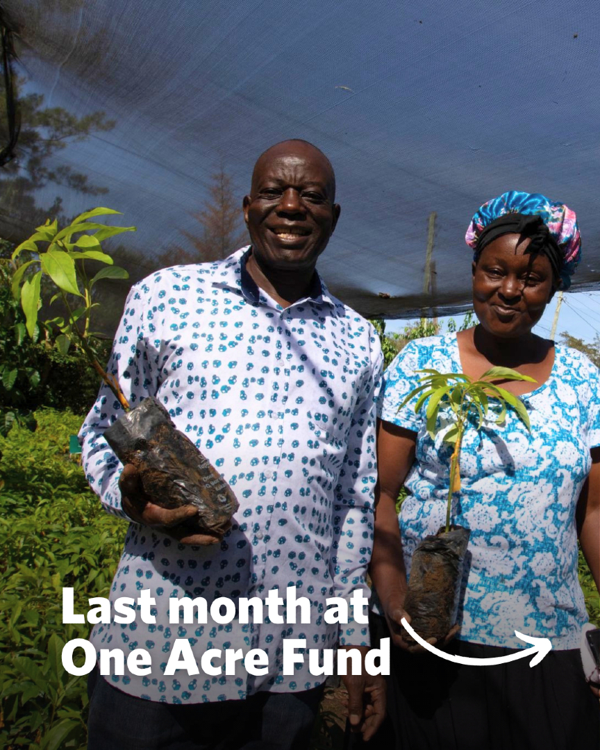@OneAcreFund.org
