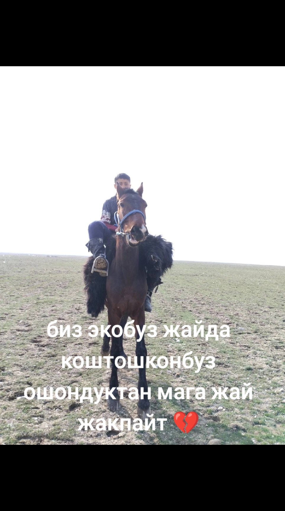 @kyrgyz bala00