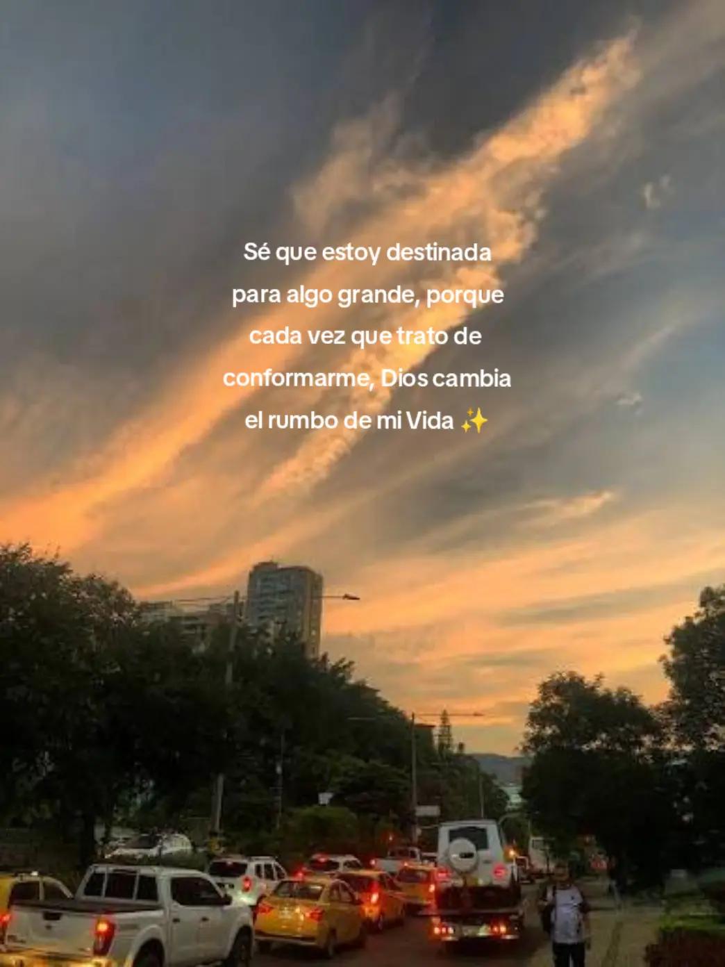 @Pamela Navarro✨