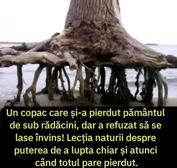 @_sclipicioasa ~