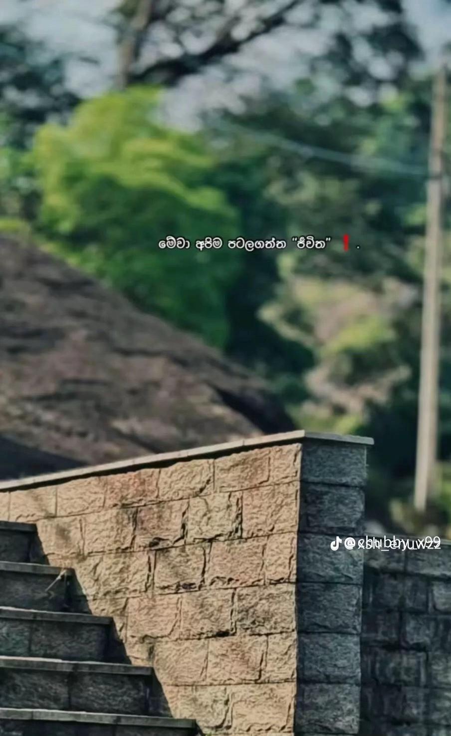 @heshanind0