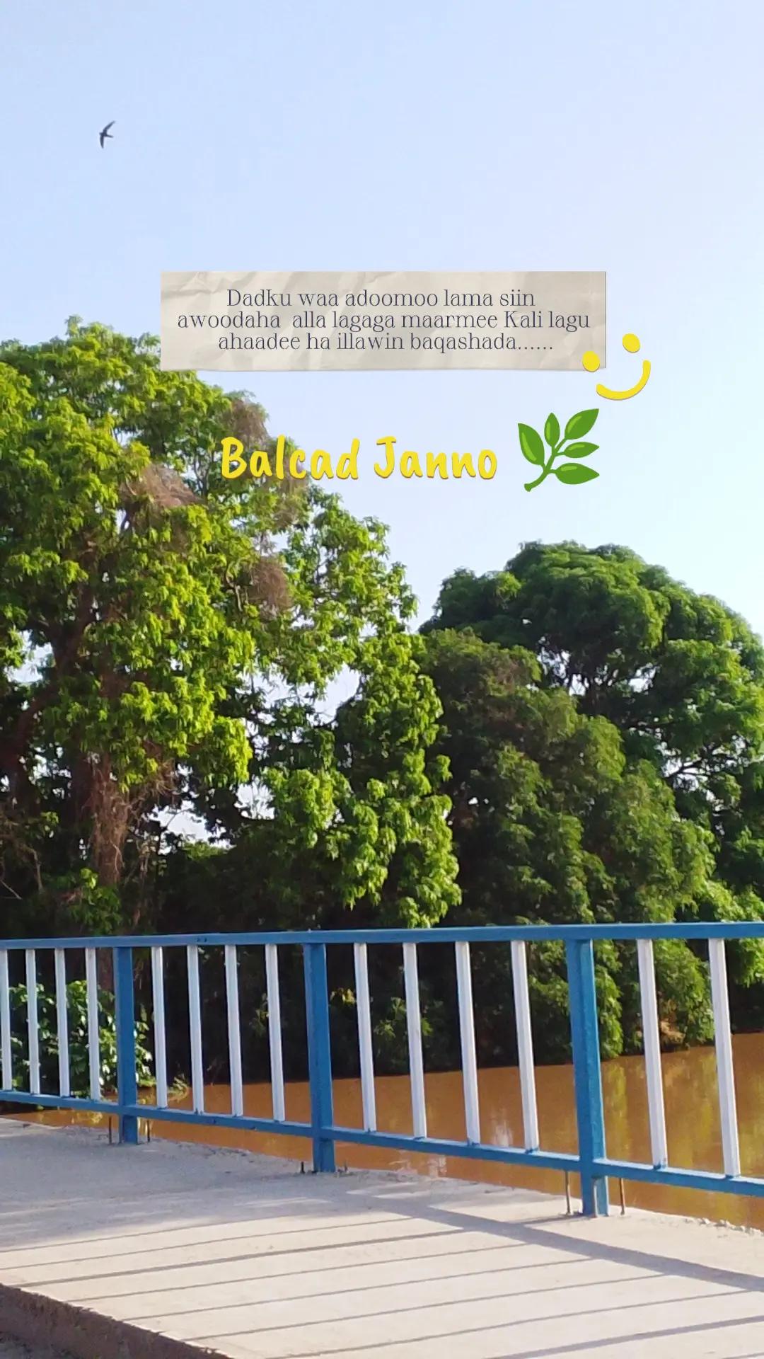 @salimasomali🌿