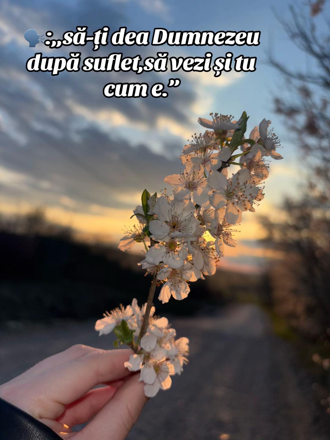 @Denisa
