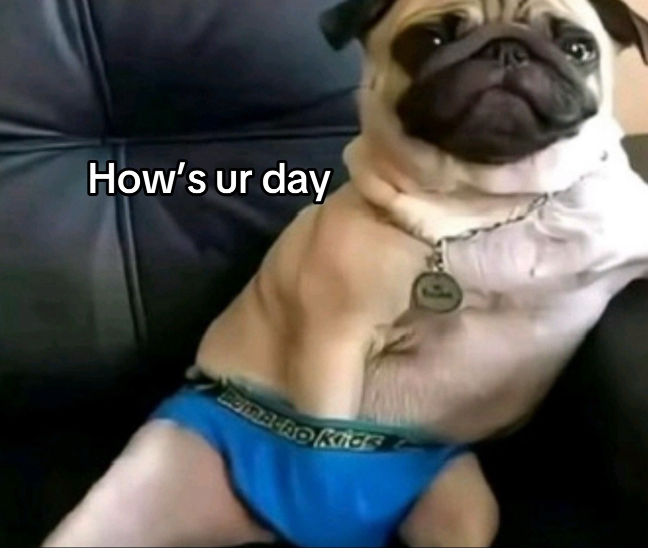 @Henry👑