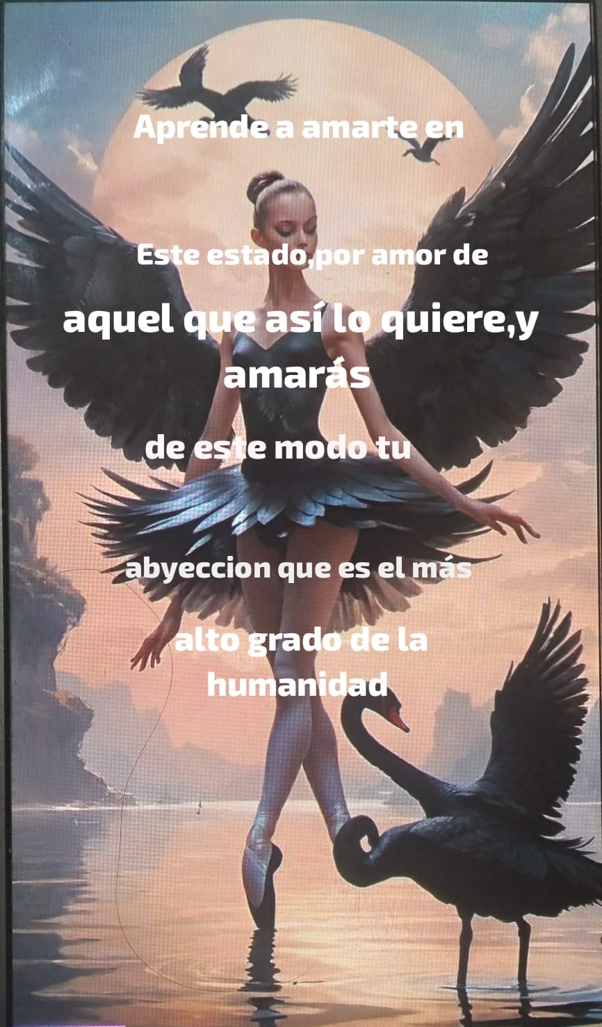 @normita