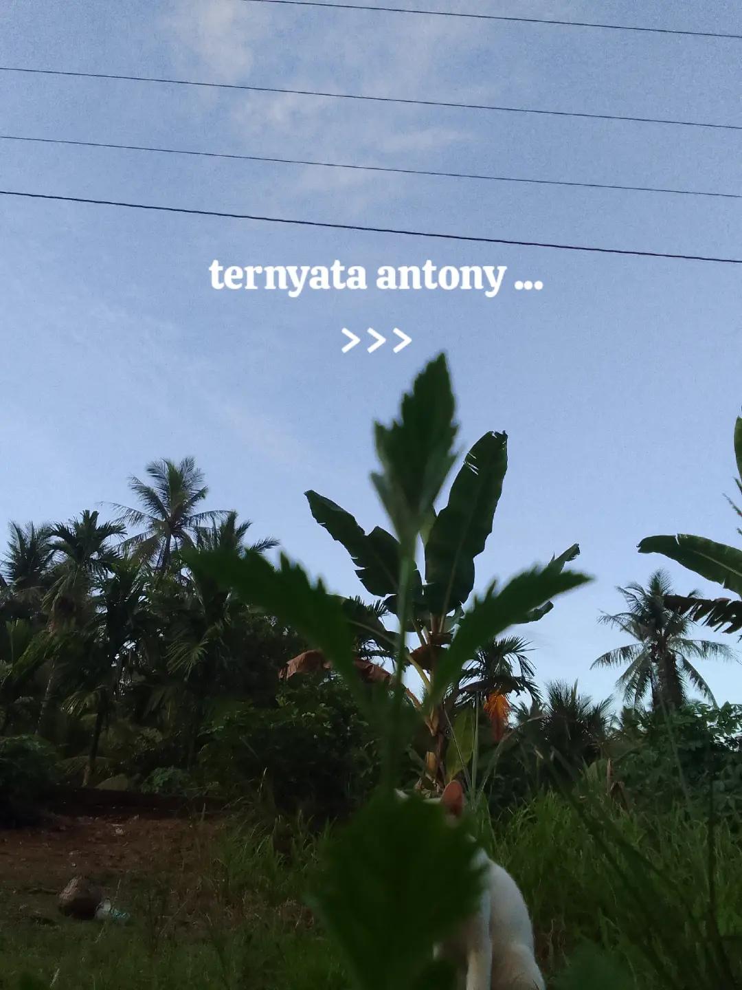 @A