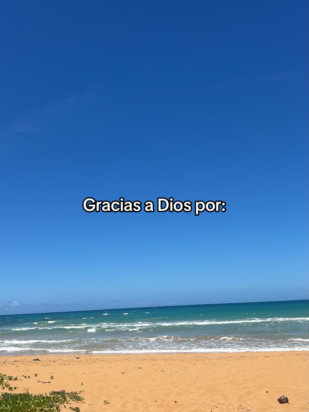 @danieliz