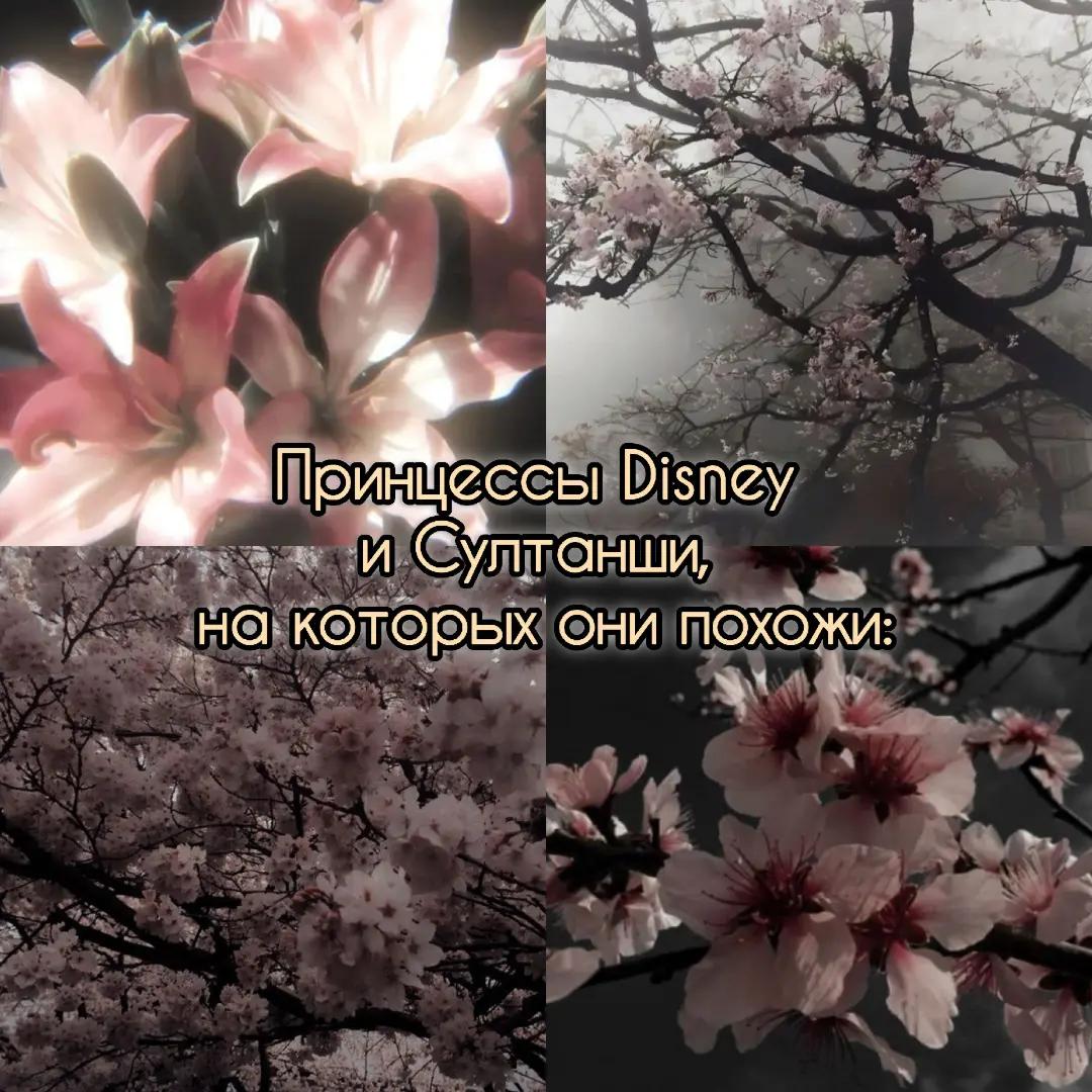 @𝓔𝓶𝓮𝓻𝓪𝓵𝓭_𝓣𝓮𝓪𝓻𝓼