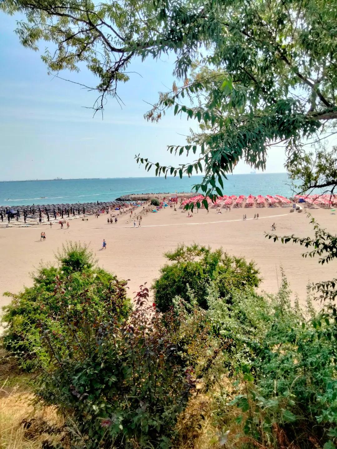 @Doina Doinița