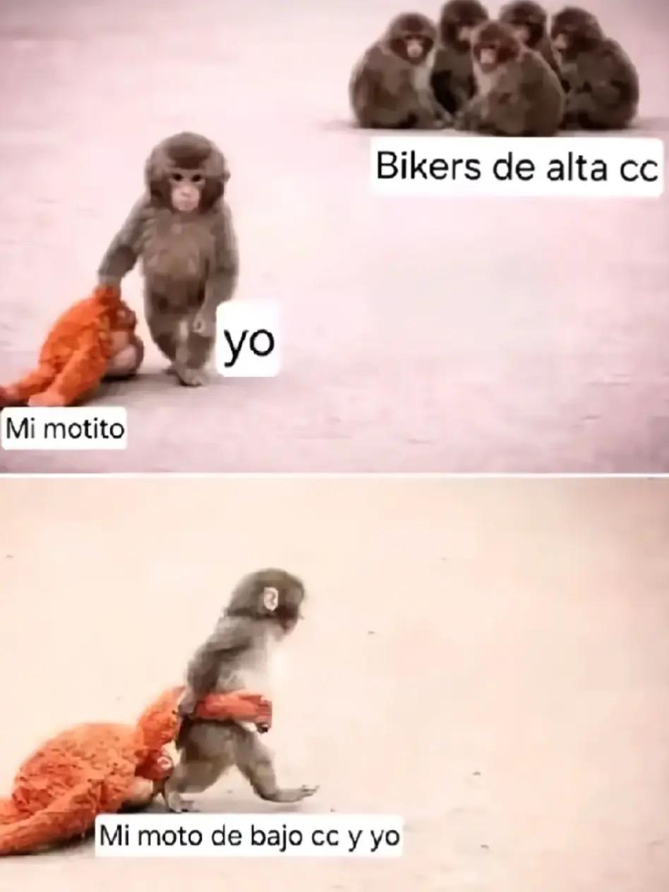 @Zhi
