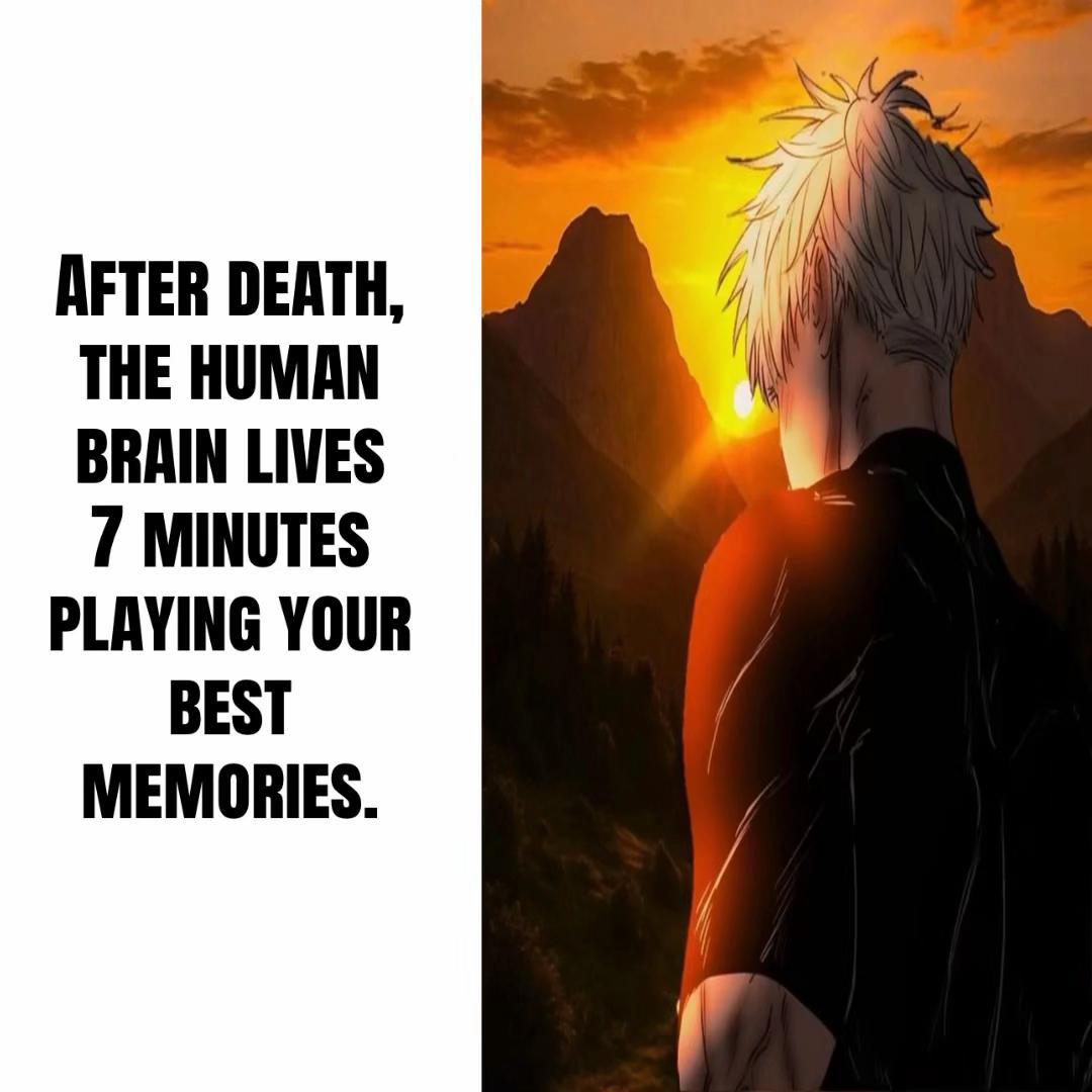 @D A Z Z๐ค