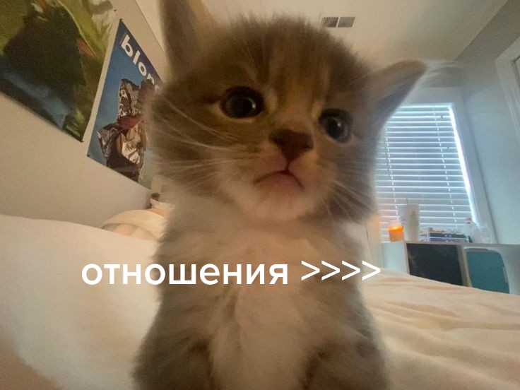 @zipcemew