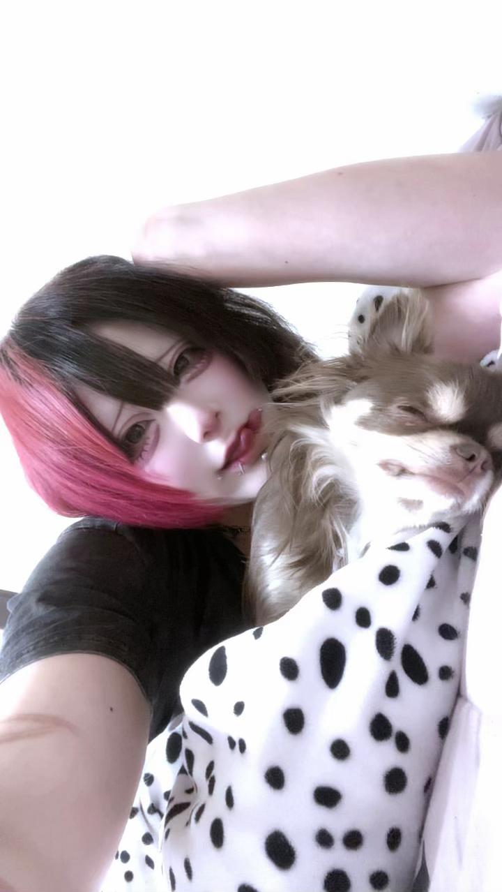 @こめお