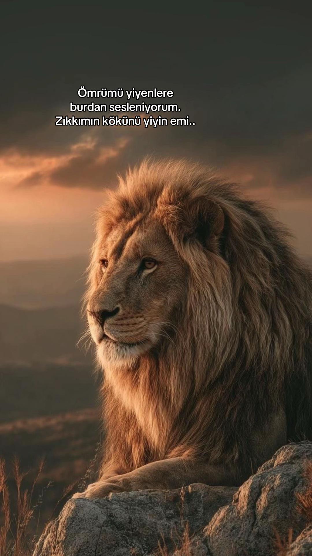 @Atarlı Kadın