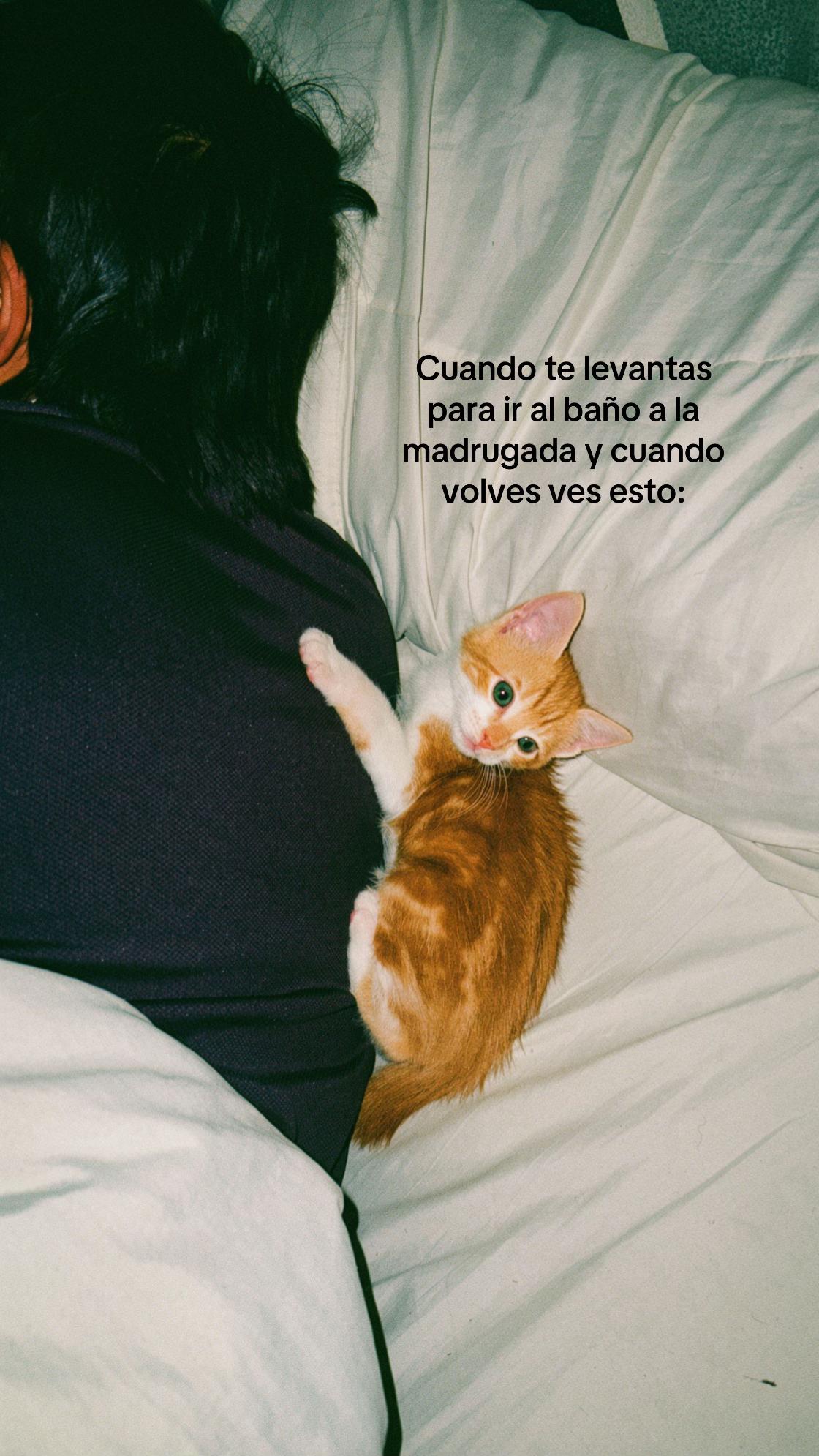 @Naza