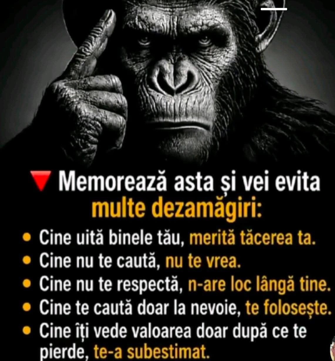 @😈 NIKOLETA 🙊TERORISTA😈