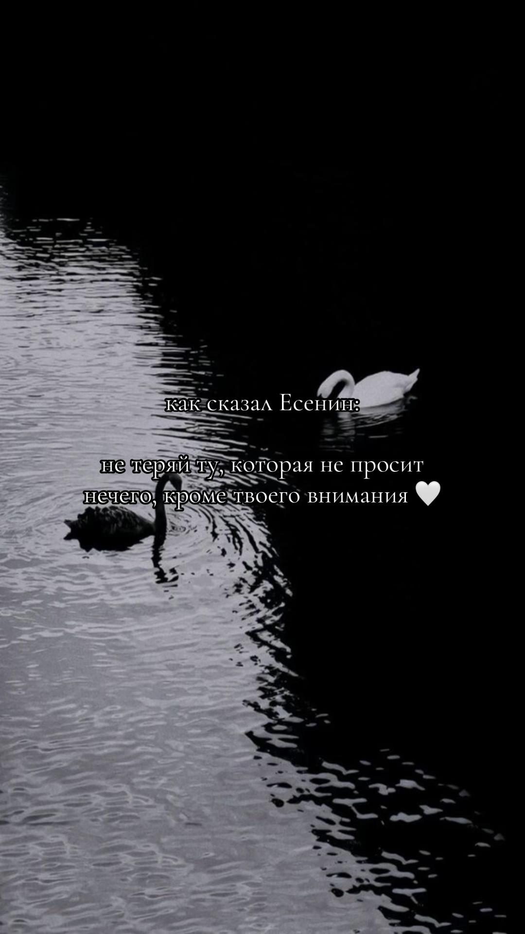 @👑 Anyuta 👑