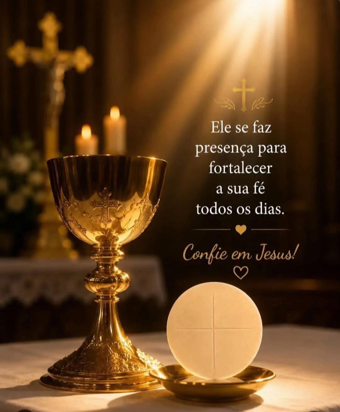 @Jose Carlos Matos