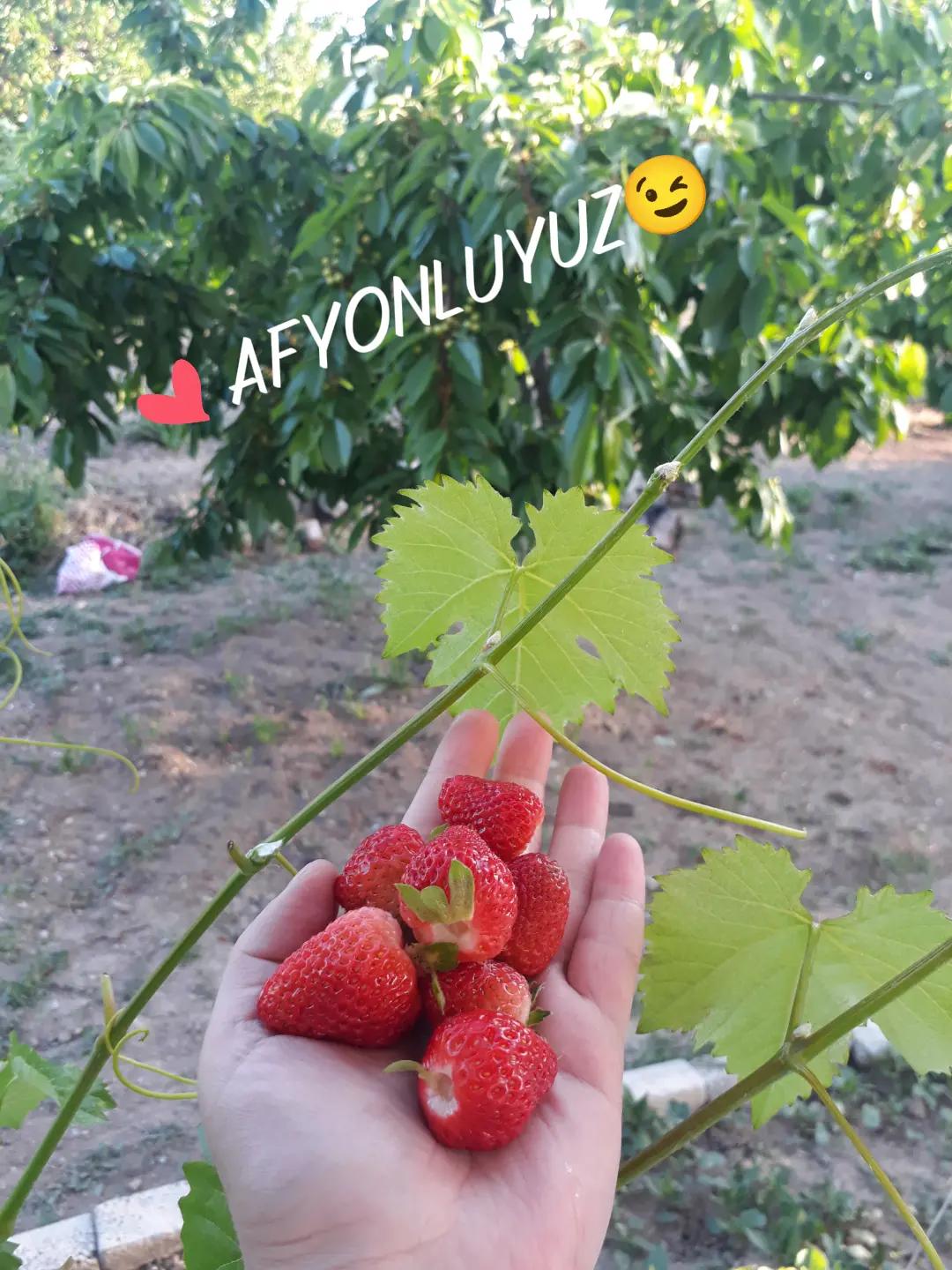 @💥💥KARAKIZ💥💥