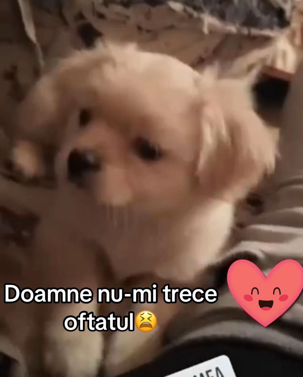 @_.deea._25