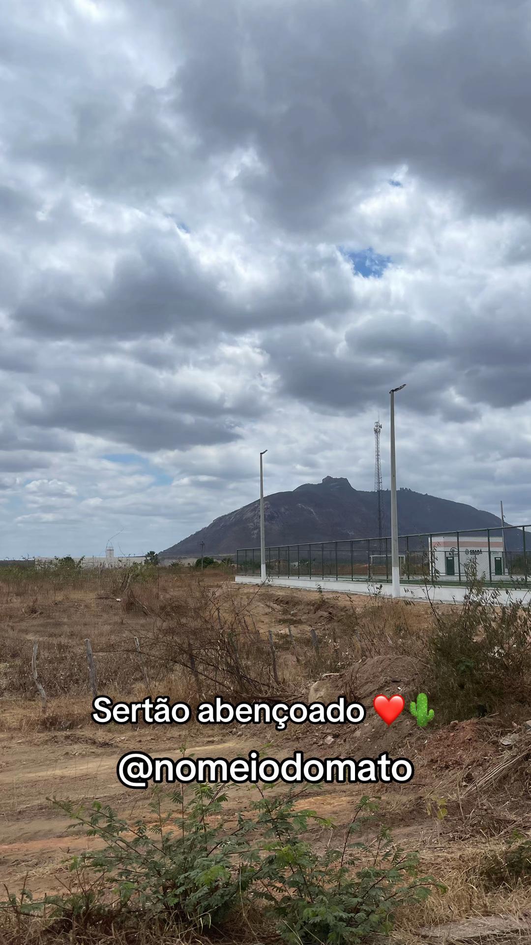 @No Meio do Mato