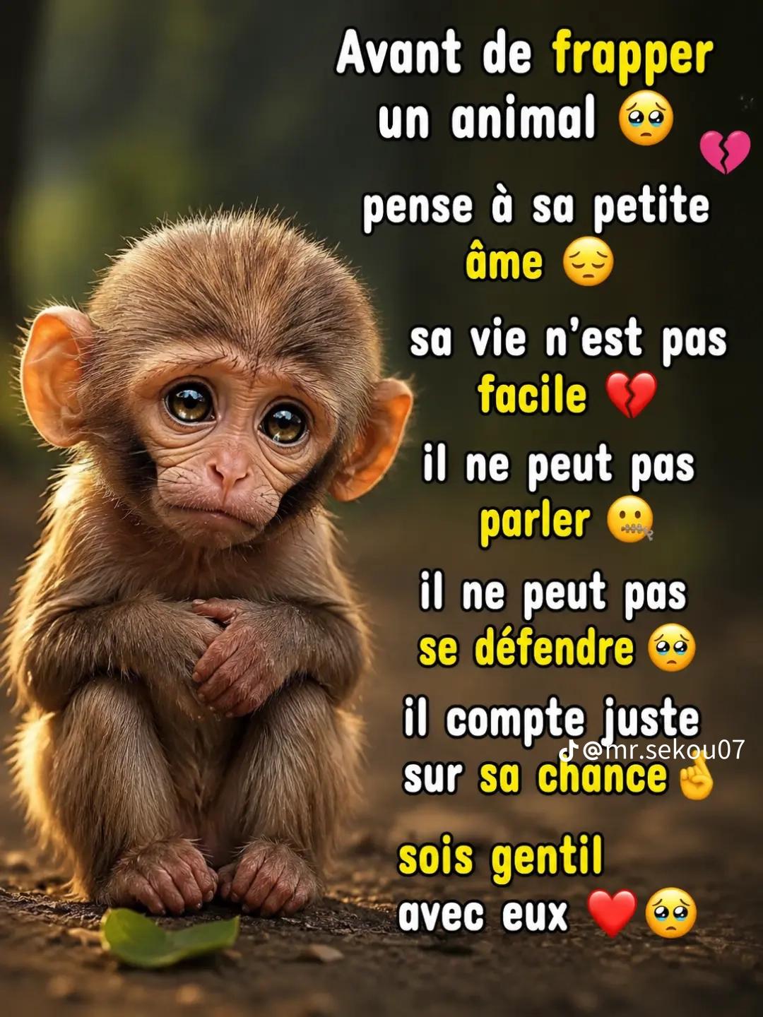 @David