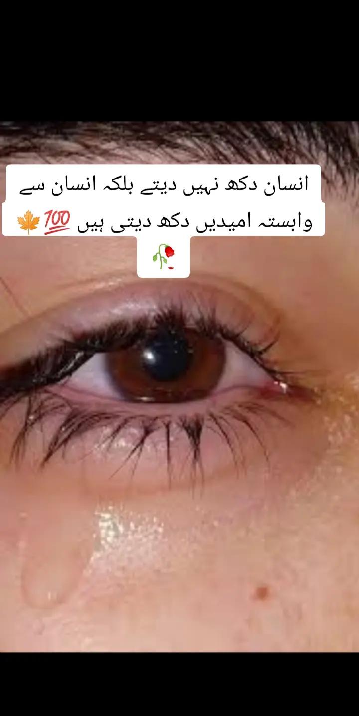 @shehzadi g😎