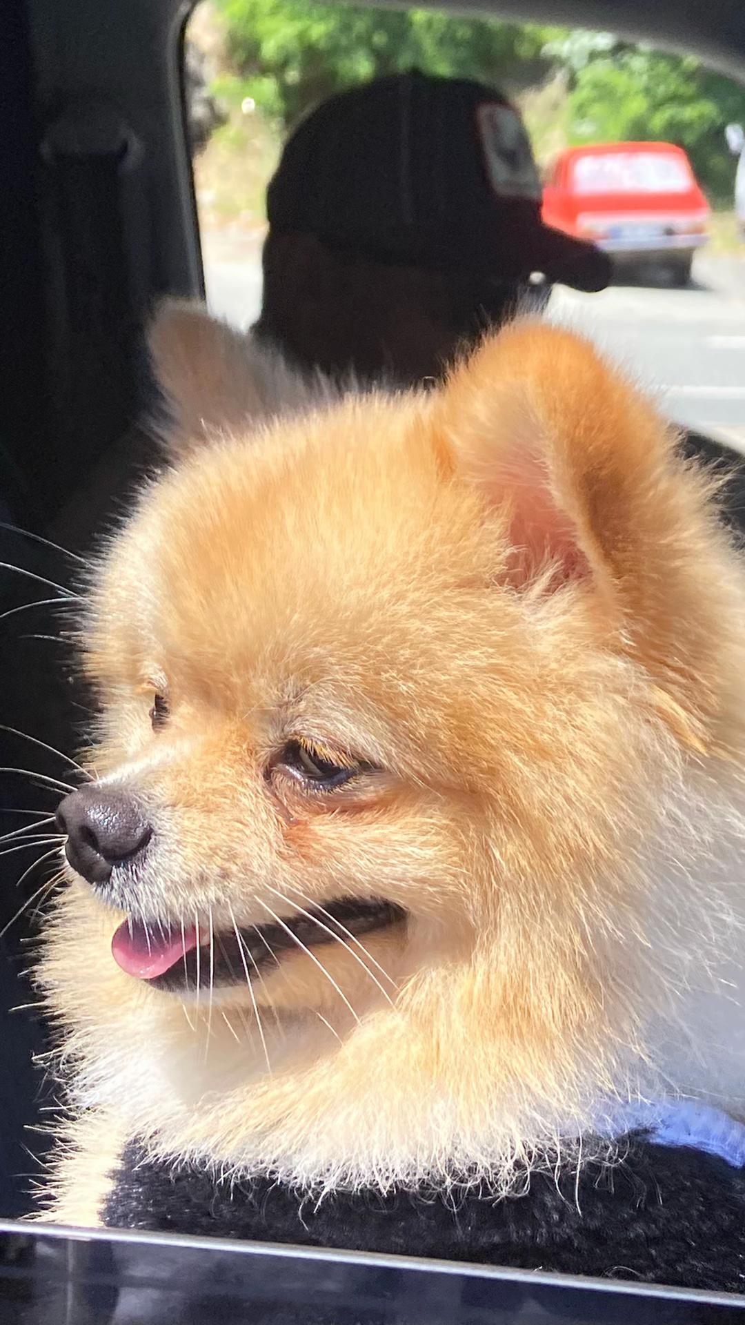 @𝐔𝐌𝐔𝐓