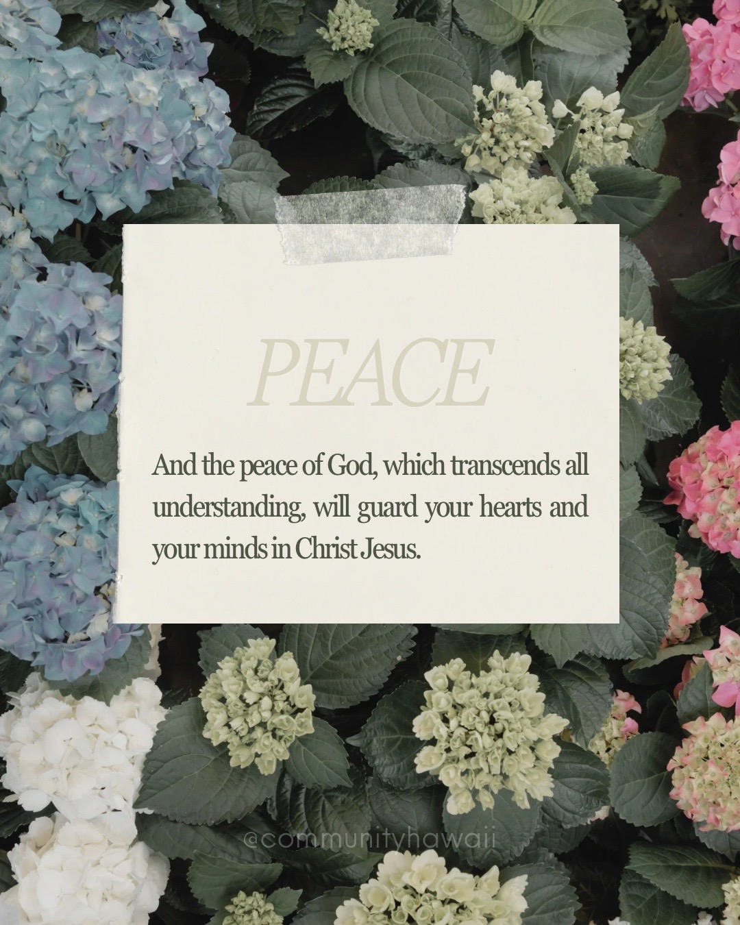 @Community Lutheran Church