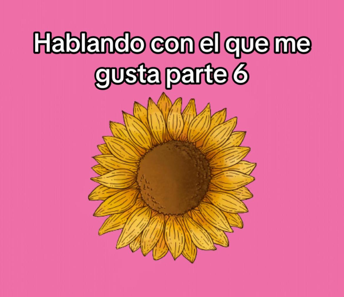 @Camila