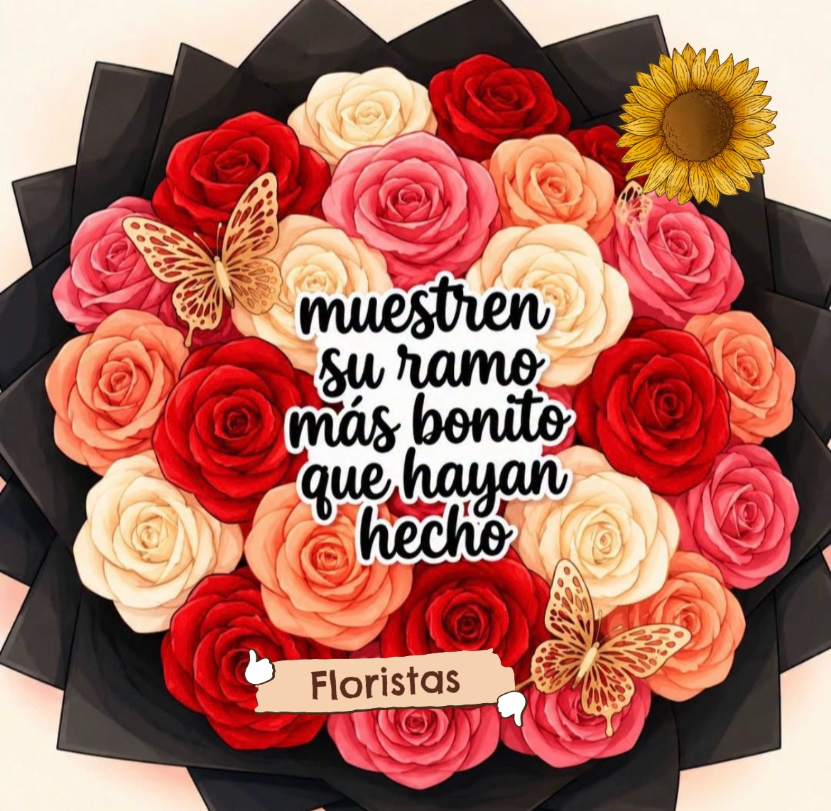 @Laura soto