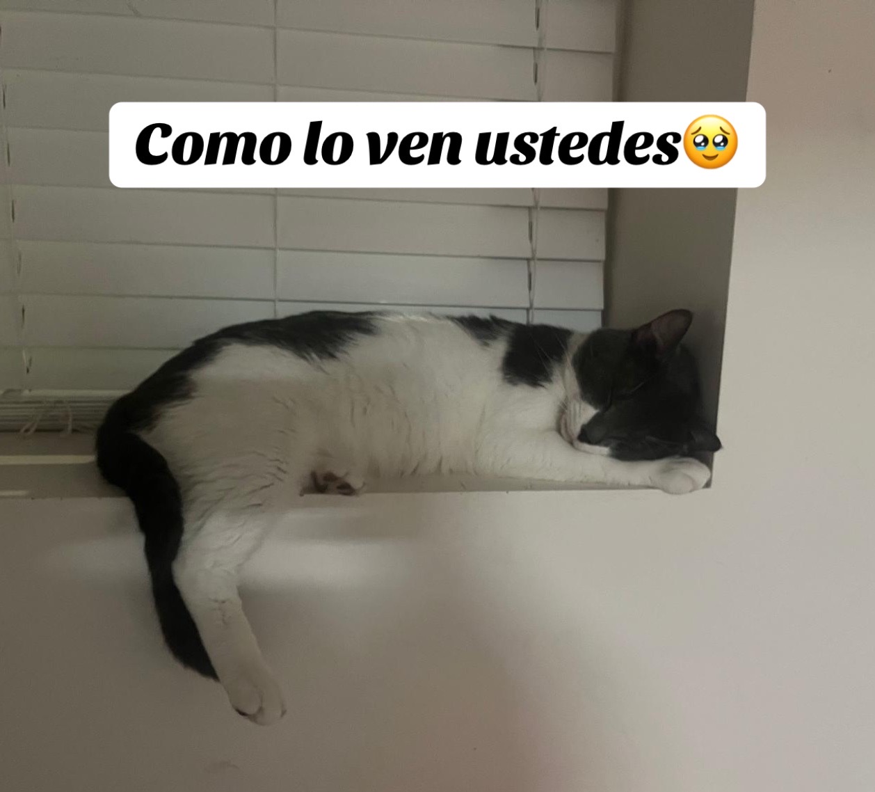 @Juremy💕