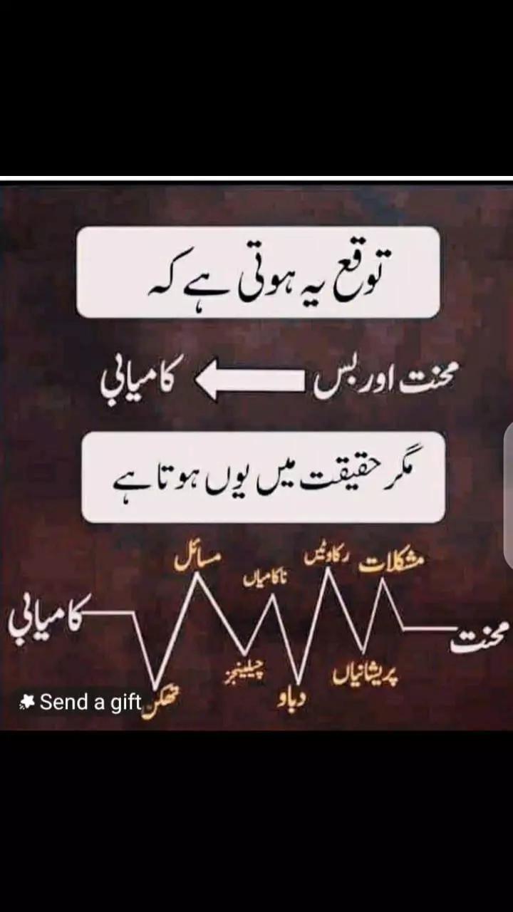 @Muhammad Saeed